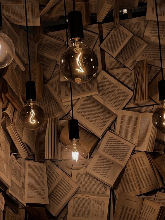 luz e livro